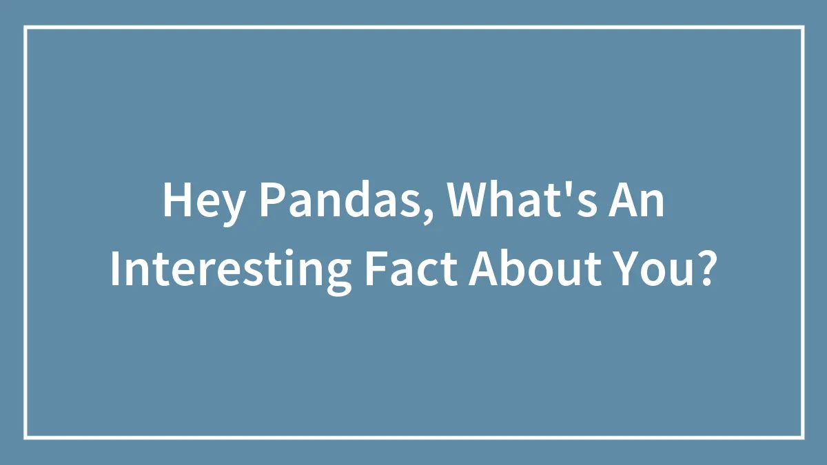 Hey Pandas, What's An Interesting Fact About You? (Closed)