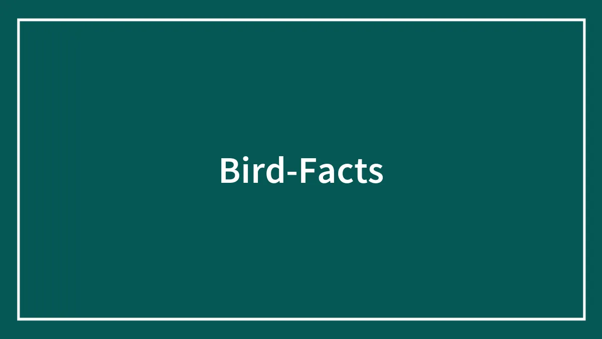 52 Bird Facts To Learn More About These Majestic Creatures