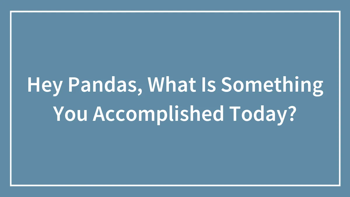 Hey Pandas, What Is Something You Accomplished Today?