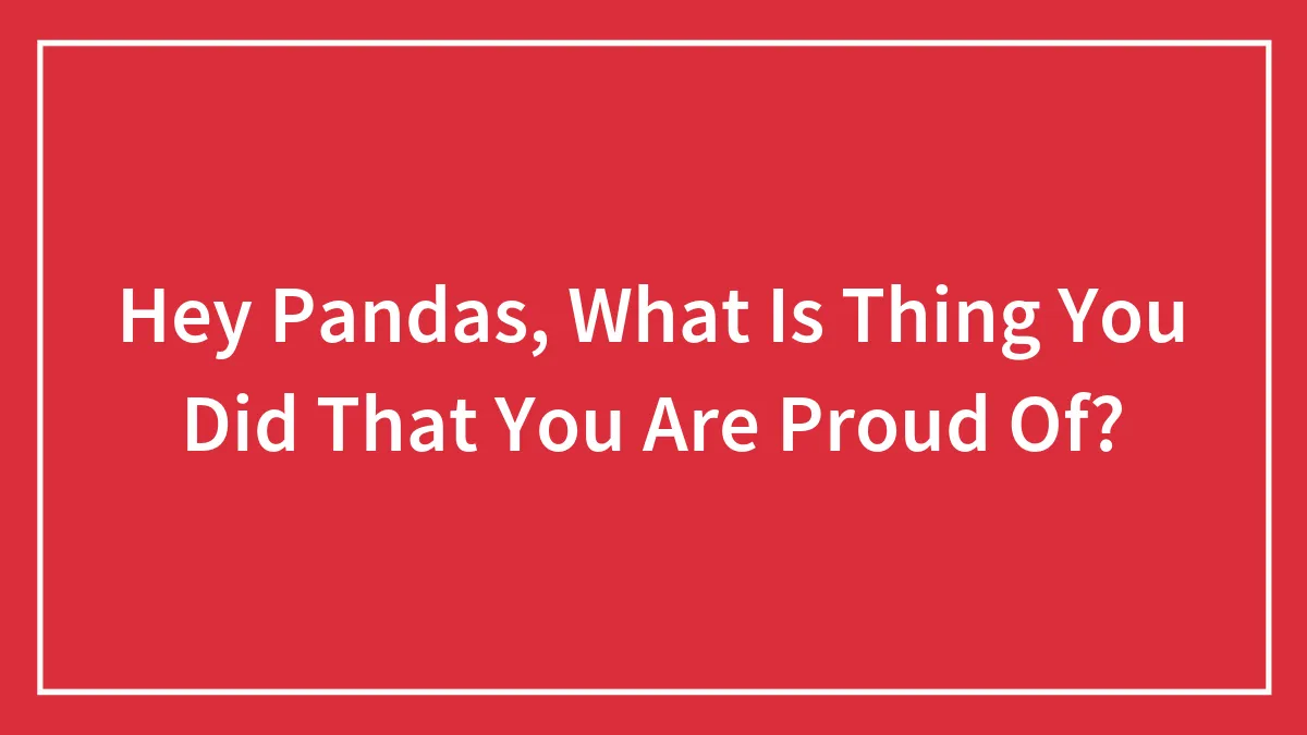 Hey Pandas, What Is Thing You Did That You Are Proud Of?