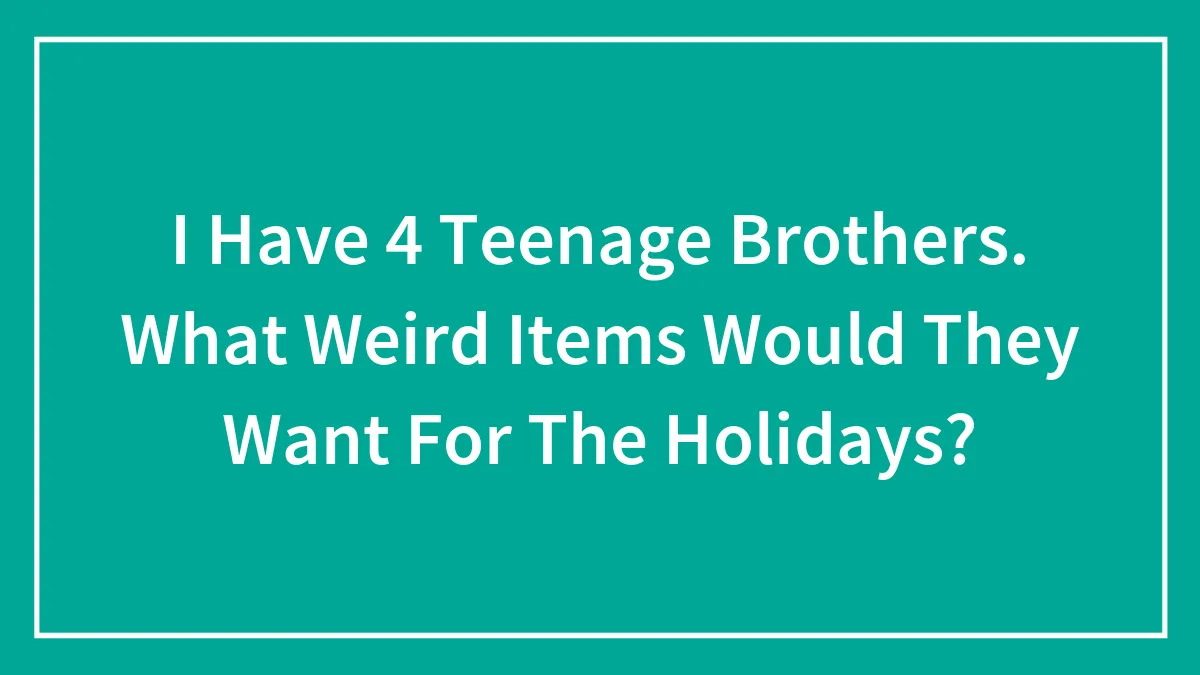I Have 4 Teenage Brothers. What Weird Items Would They Want For The Holidays?