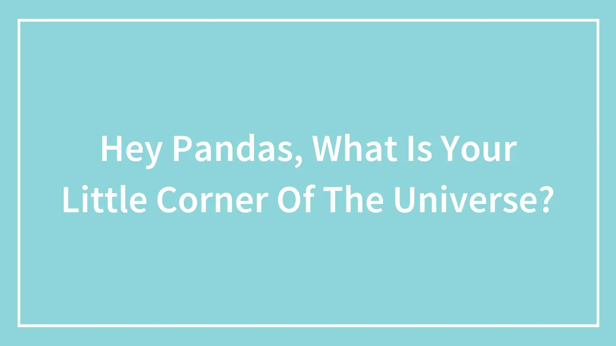 Hey Pandas, What Is Your Little Corner Of The Universe?