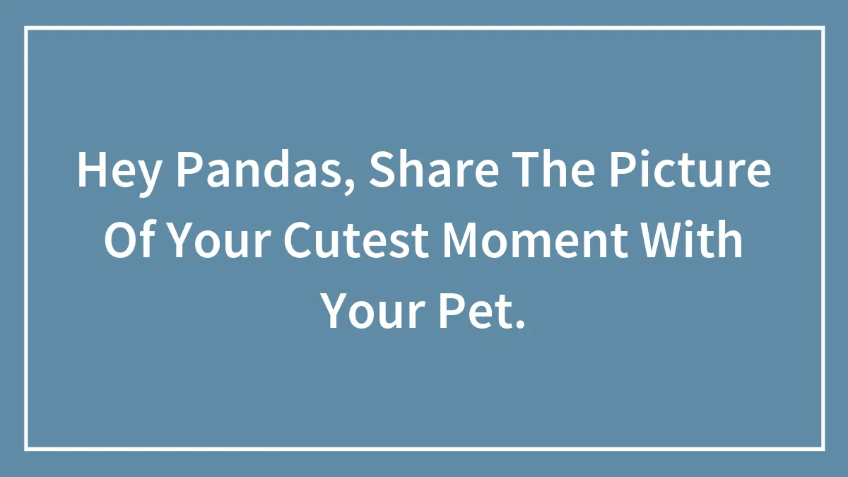 Hey Pandas, Share The Picture Of Your Cutest Moment With Your Pet.