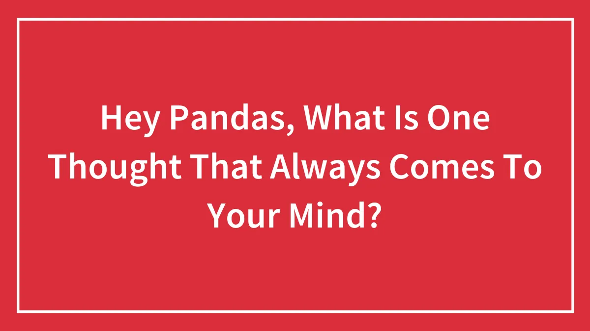 Hey Pandas, What Is One Thought That Always Comes To Your Mind? (Closed)