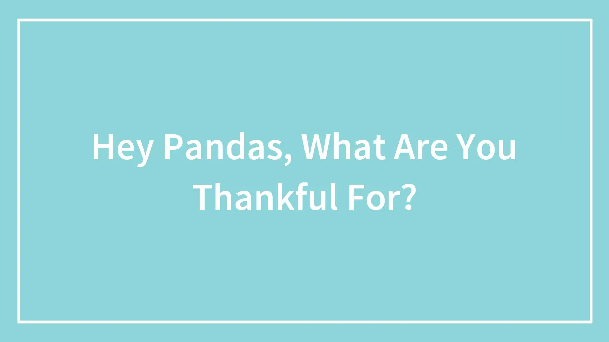 Hey Pandas, What Are You Thankful For?