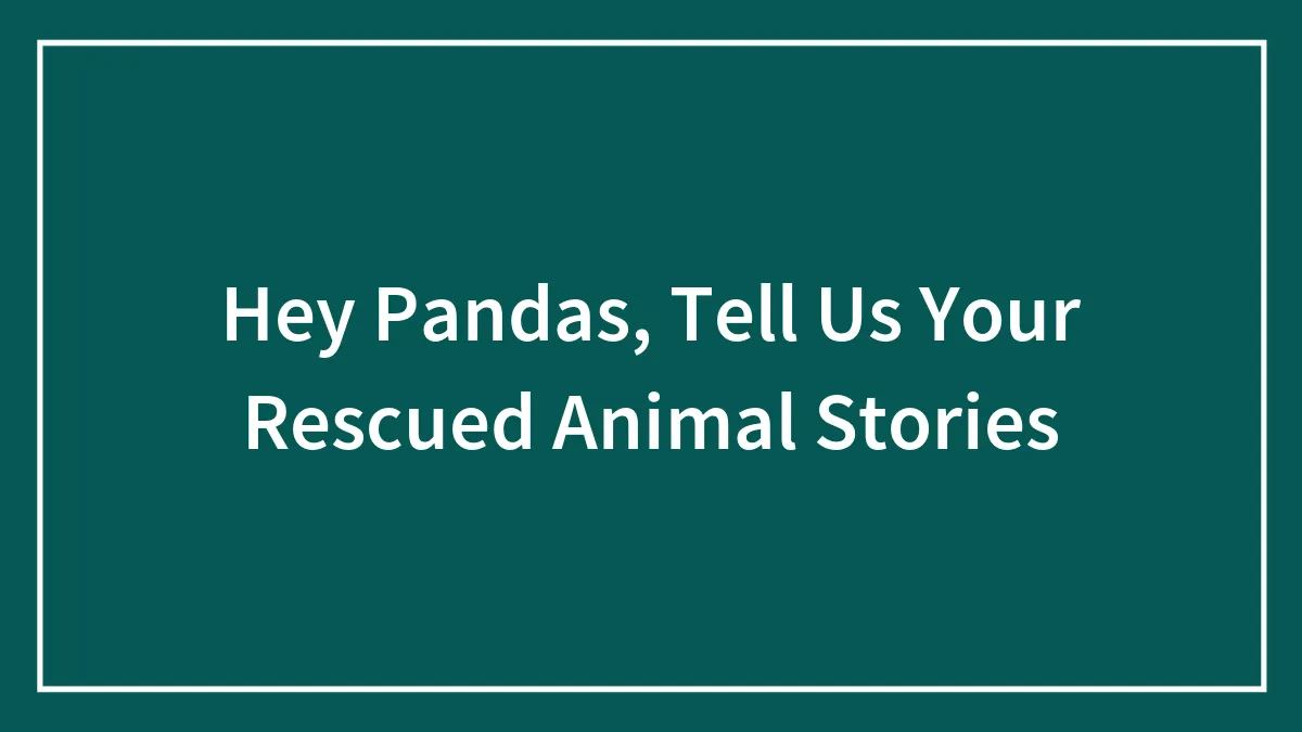 Hey Pandas, Tell Us Your Rescued Animal Stories (Closed)
