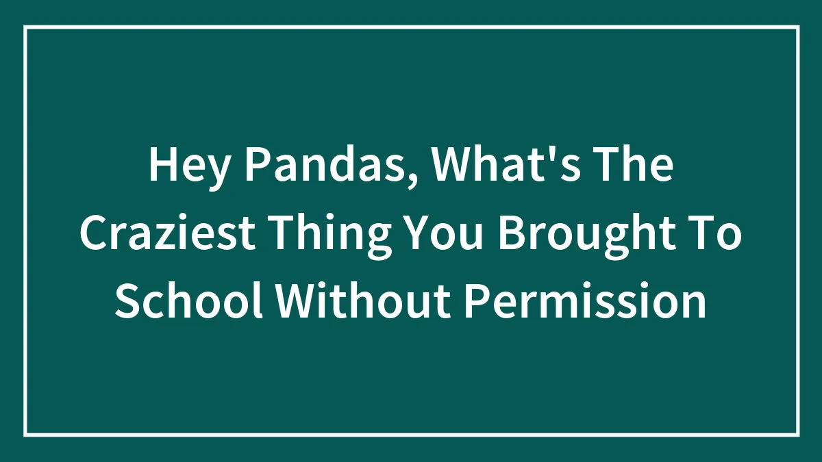 Hey Pandas, What's The Craziest Thing You Brought To School Without Permission
