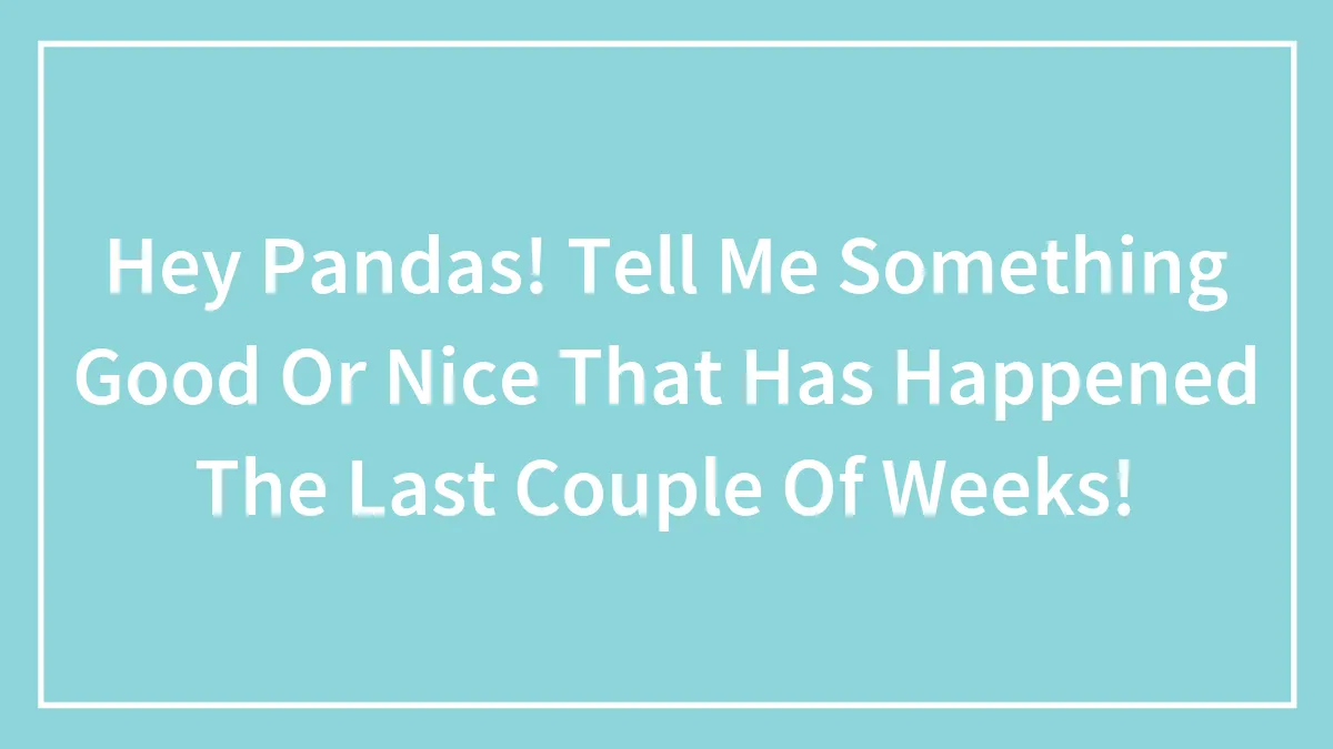 Hey Pandas! Tell Me Something Good Or Nice That Has Happened The Last Couple Of Weeks!