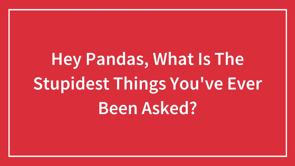 Hey Pandas, What Is The Stupidest Things You've Ever Been Asked?