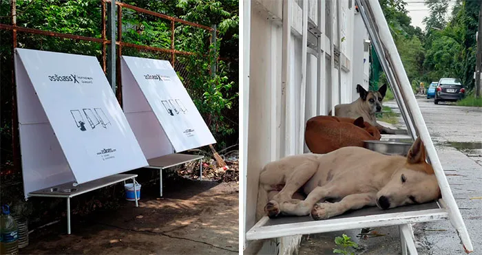 40 Inventos geniales para mascotas que no sabías que necesitabas para ser el dueño más genial