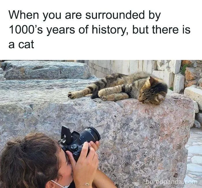 This Facebook Group Is All About “Science Humor”, Here Are 50 Of Their Most Hilarious Posts (New Pics)