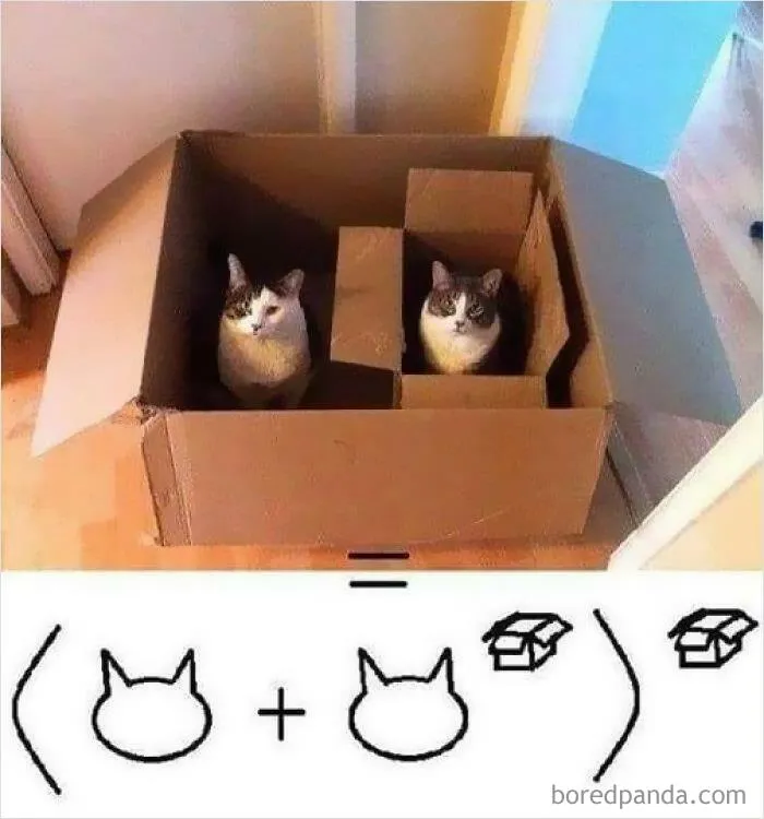 20 Divertidos memes sobre "humor científico (nuevas imágenes)