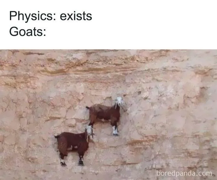 This Facebook Group Is All About “Science Humor”, Here Are 50 Of Their Most Hilarious Posts (New Pics)
