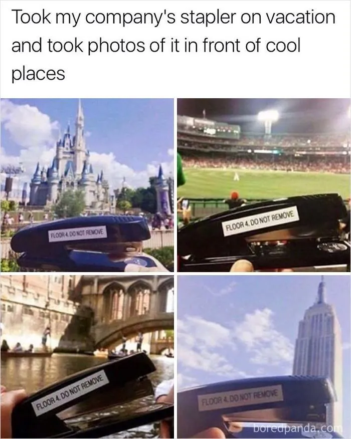 Office Madlad