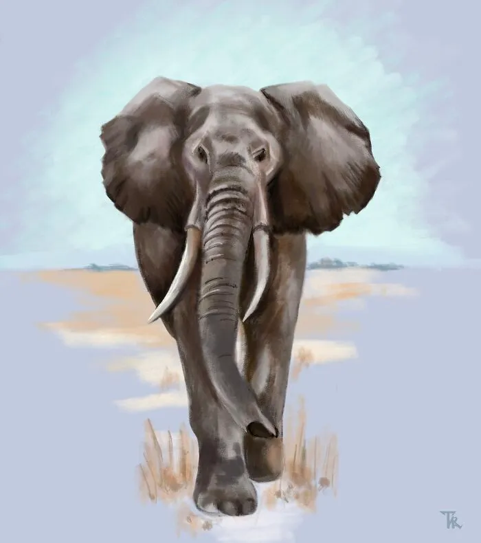 I Illustrated Animals In Their Natural Surroundings (19 Pics)