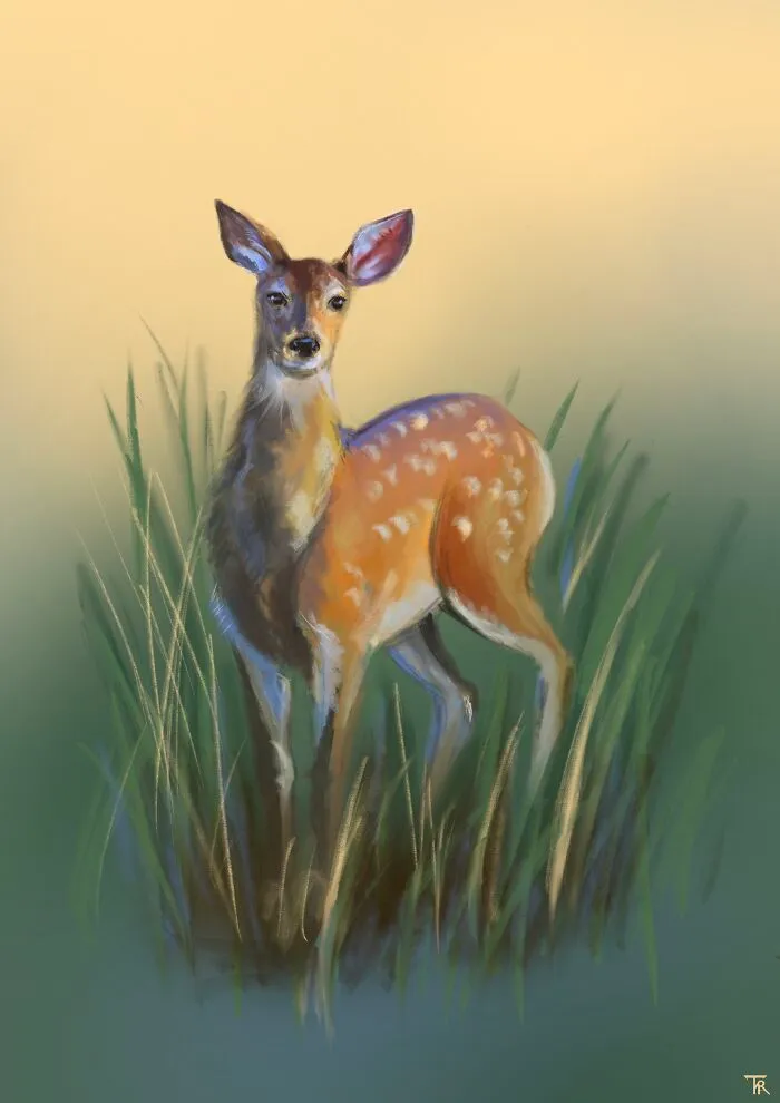 I Illustrated Animals In Their Natural Surroundings (19 Pics)
