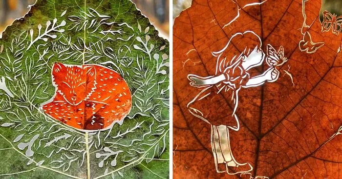 I Made Cutouts On A Real Tree Leaf (13 Pics)