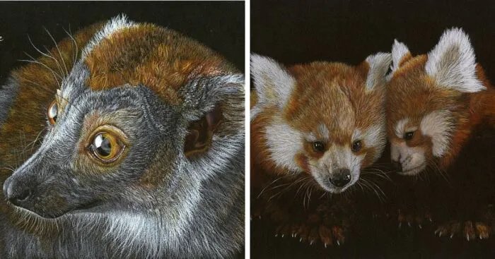 My Annual Drawings Against The Extinction Of Endangered Animals