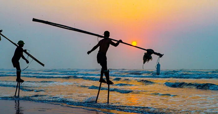 I Photographed Fishermen, Who Use Stilts For Inshore Fishing