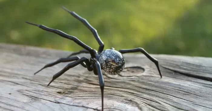 I Am A Ukrainian Artist Who Creates Glass Figures Of Spiders In The Lampwork Technique (8 Pics)