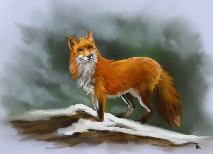 I Illustrated Animals In Their Natural Surroundings (19 Pics)