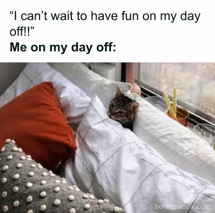 50 Memes That Might Hit A Little Too Close To Home, As Shared By "Freud Intensifies" Instagram