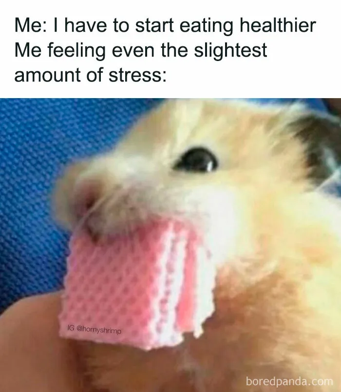 50 Memes That Might Hit A Little Too Close To Home, As Shared By "Freud Intensifies" Instagram