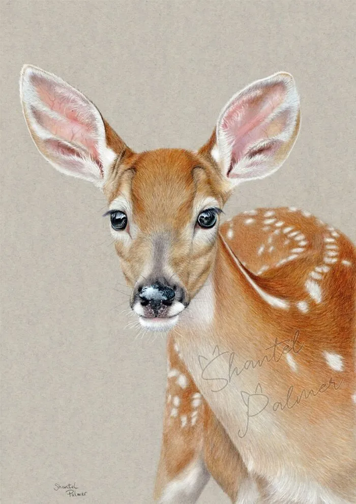 Just Wanted To Share My Latest Pencil And Guoache Drawing