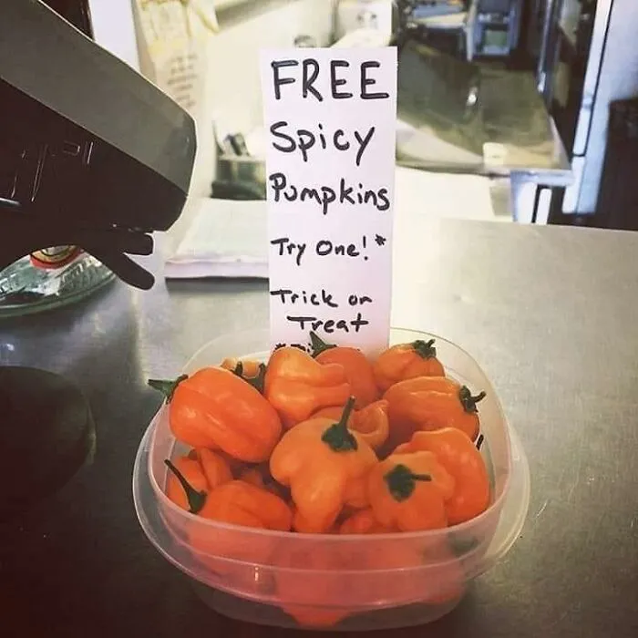 50 Times Signs Were So Hilariously Absurd, People Had To Share Them On This Facebook Page (New Pics)