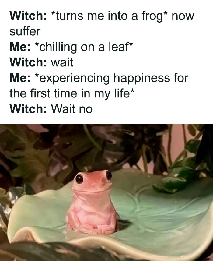 This Twitter Account Has Amassed 2.9M Followers For Sharing Wholesome Memes, Here Are 48 Of Their Best Posts (New Pics)