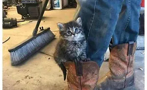 This Twitter Account Has Amassed 2.9M Followers For Sharing Wholesome Memes, Here Are 48 Of Their Best Posts (New Pics)