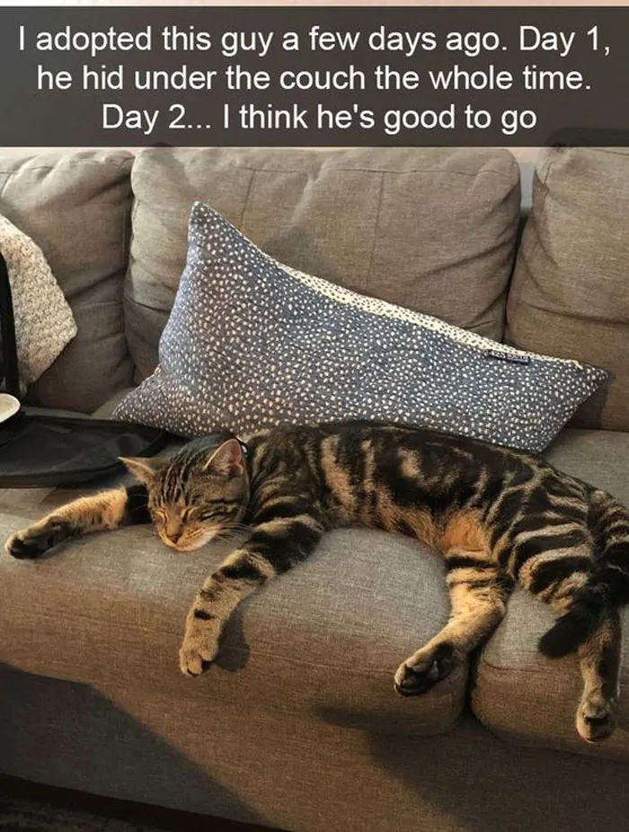 This Twitter Account Has Amassed 2.9M Followers For Sharing Wholesome Memes, Here Are 48 Of Their Best Posts (New Pics)