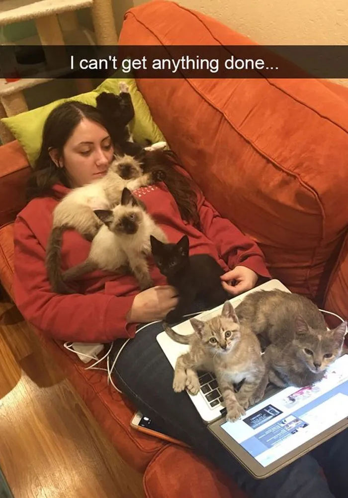 This Twitter Account Has Amassed 2.9M Followers For Sharing Wholesome Memes, Here Are 48 Of Their Best Posts (New Pics)
