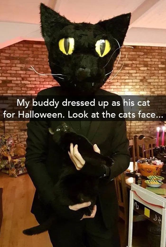 Man in cat costume holding a black cat, showcasing a wholesome meme.