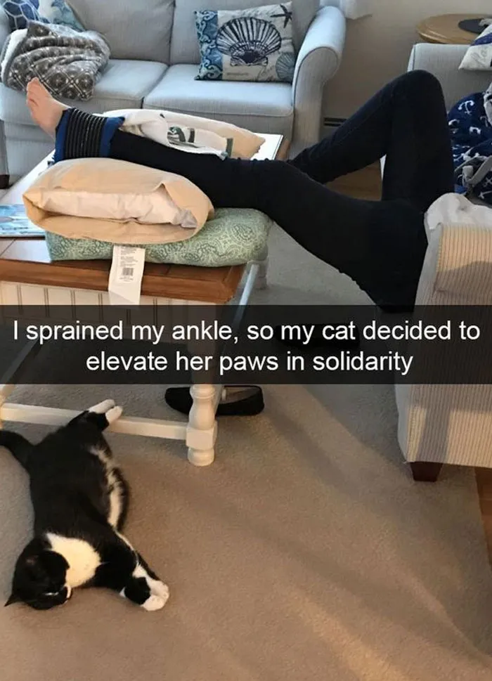 This Twitter Account Has Amassed 2.9M Followers For Sharing Wholesome Memes, Here Are 48 Of Their Best Posts (New Pics)