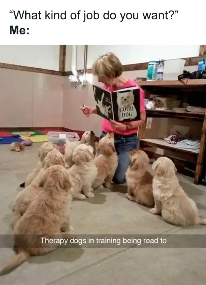 This Twitter Account Has Amassed 2.9M Followers For Sharing Wholesome Memes, Here Are 48 Of Their Best Posts (New Pics)