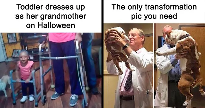 This Twitter Account Has Amassed 2.9M Followers For Sharing Wholesome Memes, Here Are 48 Of Their Best Posts (New Pics)