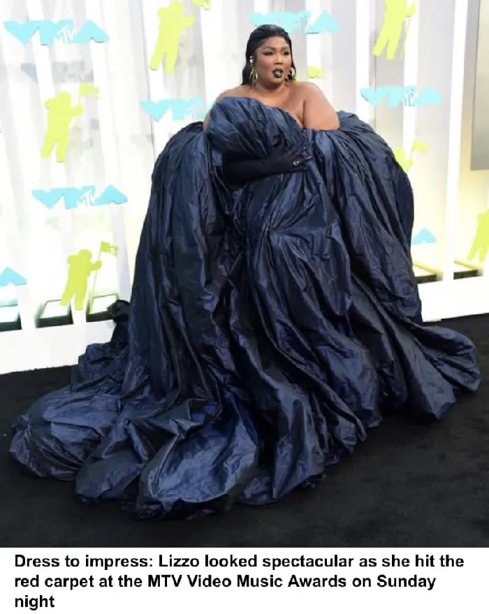 I Didn’t Cover The Face Bc It’s Lizzo. I Love Her But That Is A Bed Sheet