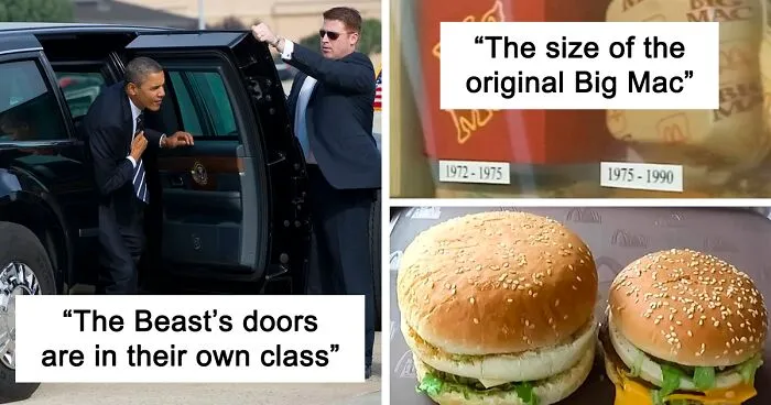 50 Times People Spotted 'Absolute Units' And Just Had To Share Pics With This Online Group (New Pics)