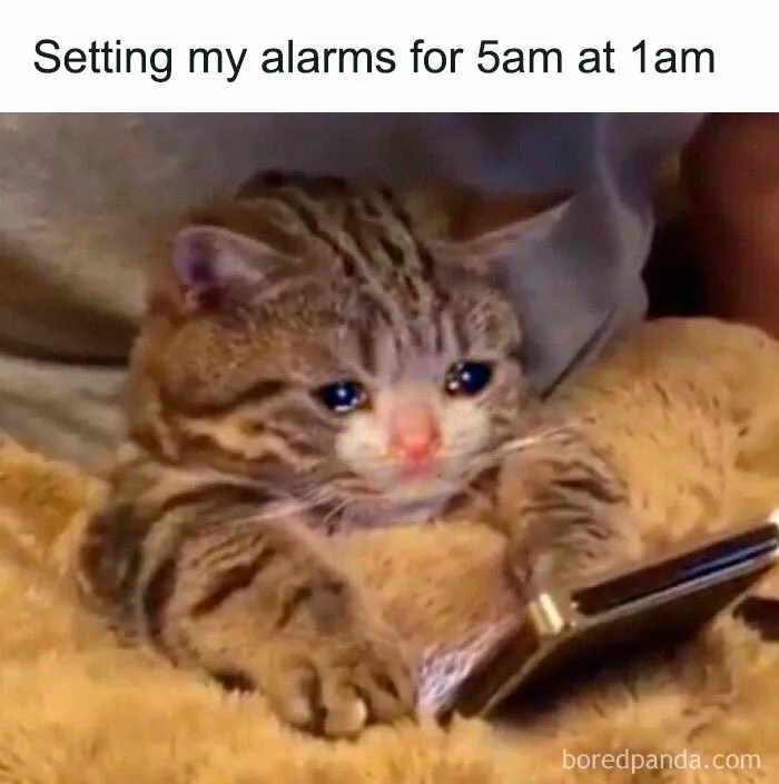 50 Funny And Chaotic Tweets And Pics Shared By This Instagram Account
