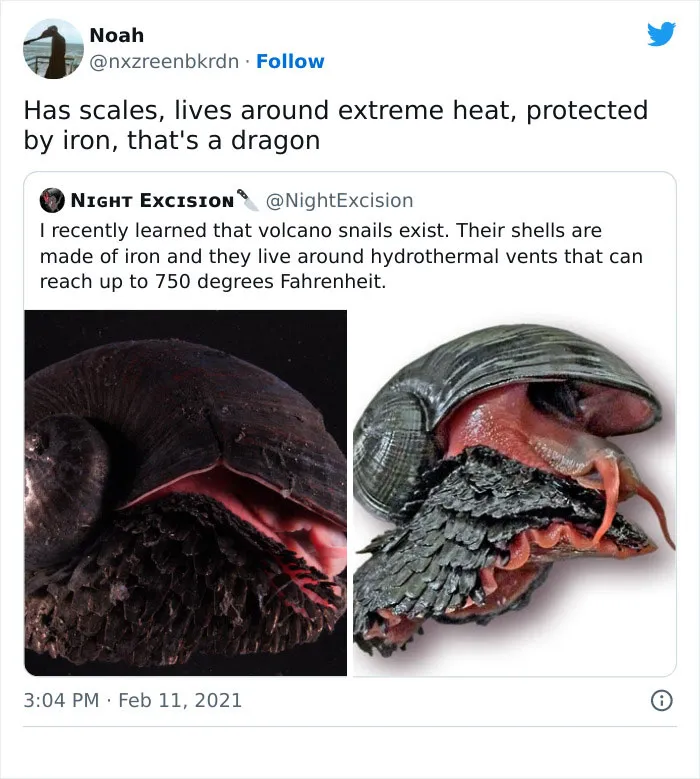 Funny-Science-Humor