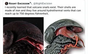 This Facebook Group Is All About “Science Humor”, Here Are 50 Of Their Most Hilarious Posts (New Pics)