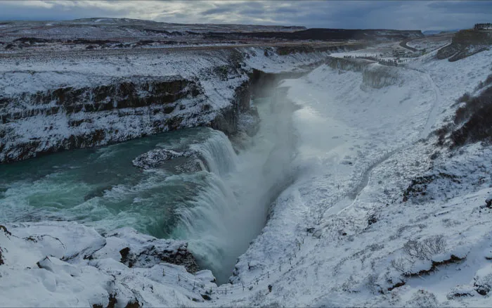 There Are No Mosquitos In Iceland