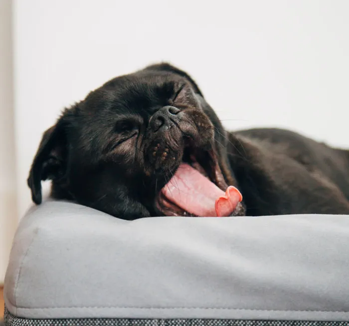 Get At Least Eight Hours Of Sleep Every Night, And Take Careful Care Of Your Sleeping Habits