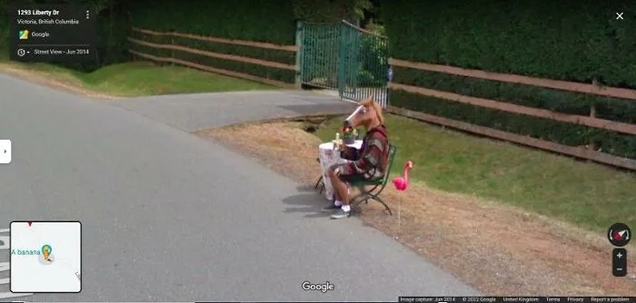 Caballo comiéndose un plátano