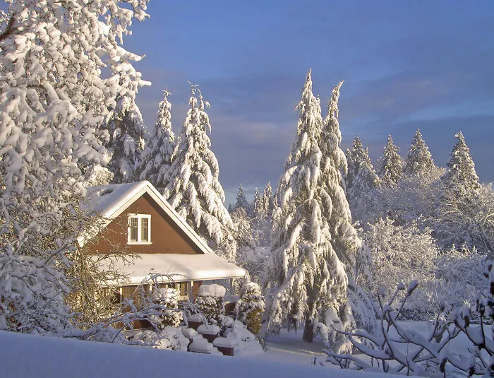Cowichan Valley, Vancouver Island B.c