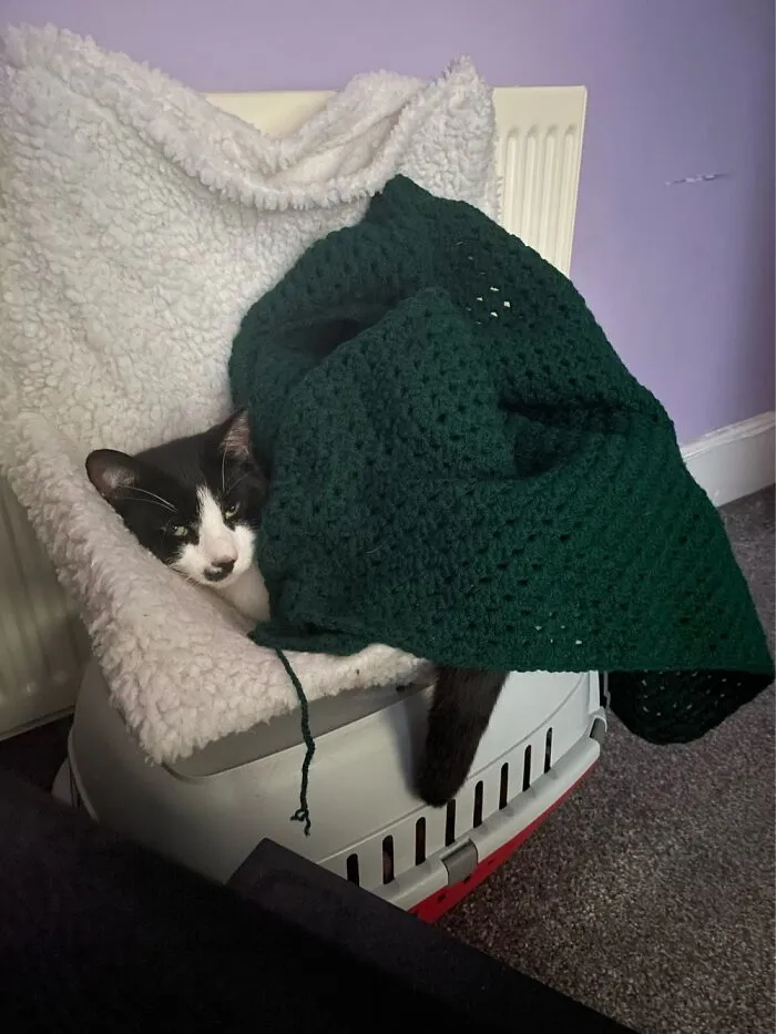 Barney All Tucked In