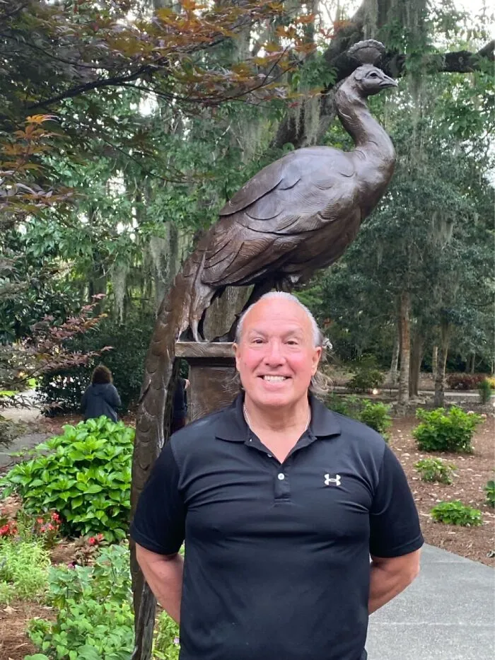 Which Is The Peacock