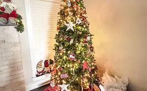 Hey Pandas! Show Us Your Christmas Tree This Year