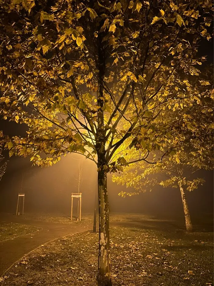 A Beautiful Foggy Evening In Budapest…